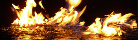 vis-ang-phoenix.jpg vis-ang-phoenix.jpg