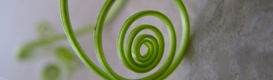 vis-ang-halm.jpg vis-ang-halm.jpg